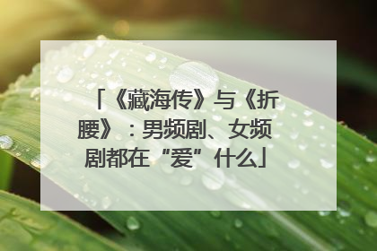 《藏海传》与《折腰》：男频剧、女频剧都在“爱”什么