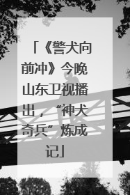 《警犬向前冲》今晚山东卫视播出，“神犬奇兵”炼成记