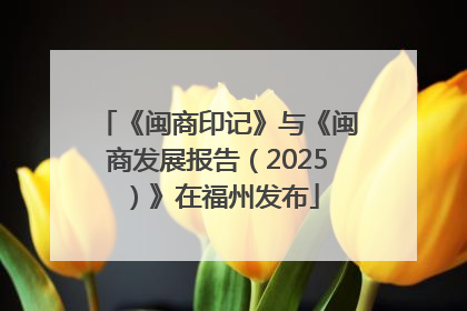 《闽商印记》与《闽商发展报告（2025）》在福州发布