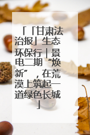 「甘肃法治报」生态环保行｜景电二期“焕新”，在荒漠上筑起一道绿色长城