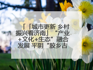 「城市更新 乡村振兴看济南」“产业+文化+生态”融合发展 平阴“胶乡古镇”探索振兴路径成效显著