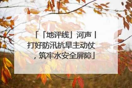 「地评线」河声丨打好防汛抗旱主动仗，筑牢水安全屏障
