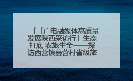 「广电融媒体高质量发展陕西采访行」生态打底 农旅生金——探访西营镇蔓营村省级旅游示范村的振兴密码