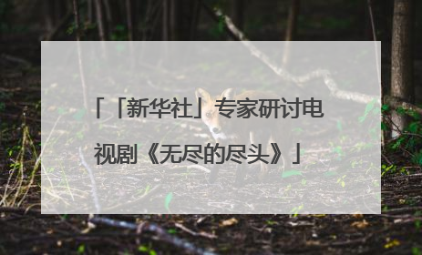 「新华社」专家研讨电视剧《无尽的尽头》