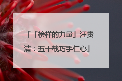 「榜样的力量」汪贵清：五十载巧手仁心
