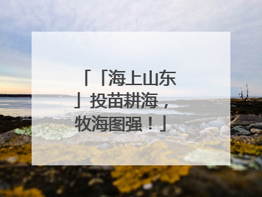 「海上山东」投苗耕海，牧海图强！