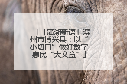 「蒲湖新语」滨州市博兴县：以“小切口”做好数字惠民“大文章”