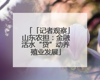「记者观察」山东农担：金融活水“贷”动养殖业发展