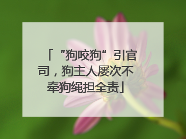 “狗咬狗”引官司，狗主人屡次不牵狗绳担全责