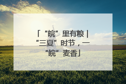 “皖”里有粮｜“三夏”时节，一“皖”麦香
