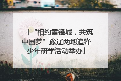 “相约雷锋城，共筑中国梦”豫辽两地追锋少年研学活动举办