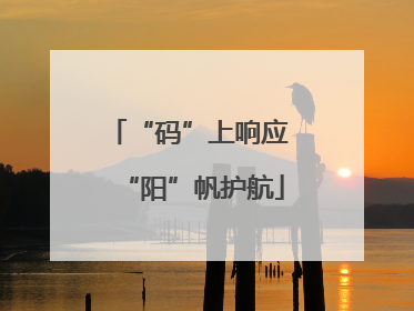 “码”上响应 “阳”帆护航