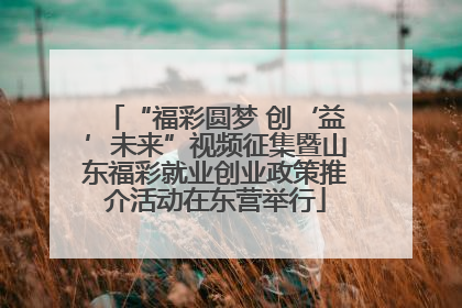 “福彩圆梦 创‘益’未来”视频征集暨山东福彩就业创业政策推介活动在东营举行