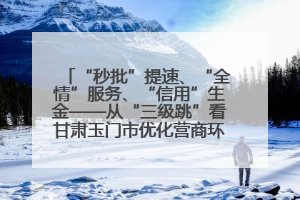 “秒批”提速、“全情”服务、“信用”生金——从“三级跳”看甘肃玉门市优化营商环境的进阶之路