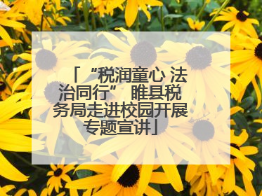 “税润童心 法治同行” 睢县税务局走进校园开展专题宣讲