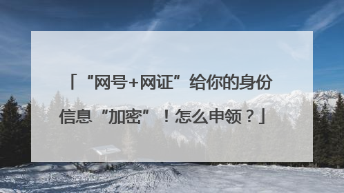 “网号+网证”给你的身份信息“加密”！怎么申领？