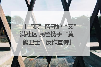 “粽”情守护“艾”满社区 民警携手“黄鹤卫士”反诈宣传