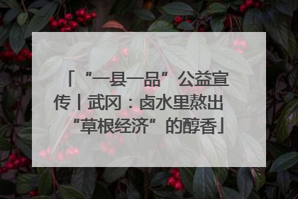 “一县一品”公益宣传丨武冈：卤水里熬出“草根经济”的醇香