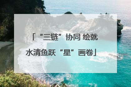 “三链”协同 绘就水清鱼跃“星”画卷