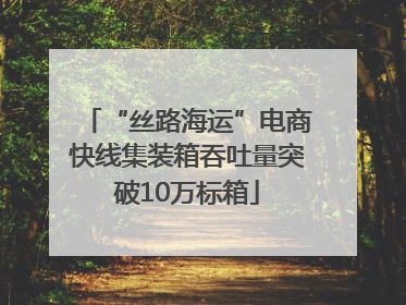“丝路海运”电商快线集装箱吞吐量突破10万标箱