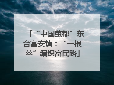 “中国茧都”东台富安镇：“一根丝”编织富民路