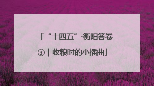 “十四五”·衡阳答卷③｜收粮时的小插曲