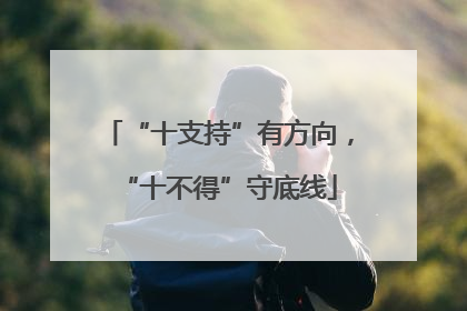 “十支持”有方向，“十不得”守底线