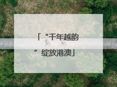 “千年越韵”绽放港澳