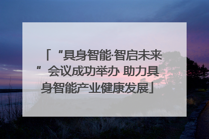 “具身智能·智启未来”会议成功举办 助力具身智能产业健康发展