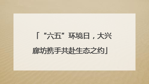 “六五”环境日，大兴廊坊携手共赴生态之约