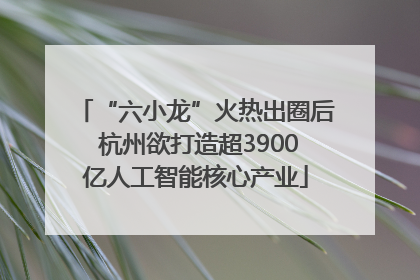 “六小龙”火热出圈后 杭州欲打造超3900亿人工智能核心产业