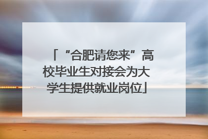 “合肥请您来”高校毕业生对接会为大学生提供就业岗位