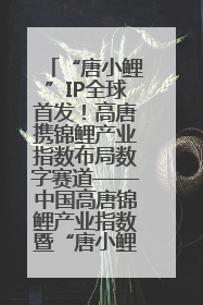 “唐小鲤”IP全球首发！高唐携锦鲤产业指数布局数字赛道——中国高唐锦鲤产业指数暨“唐小鲤”IP全球首发仪式在杭州举行