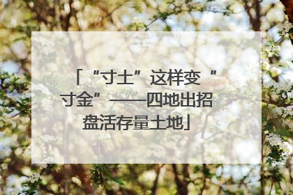 “寸土”这样变“寸金”——四地出招盘活存量土地