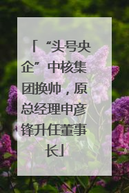 “头号央企”中核集团换帅，原总经理申彦锋升任董事长