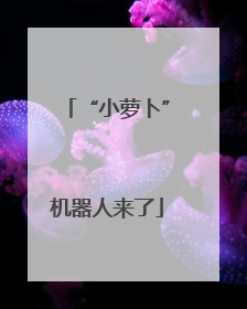 “小萝卜”机器人来了