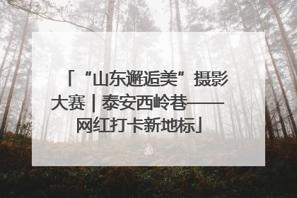 “山东邂逅美”摄影大赛｜泰安西岭巷——网红打卡新地标