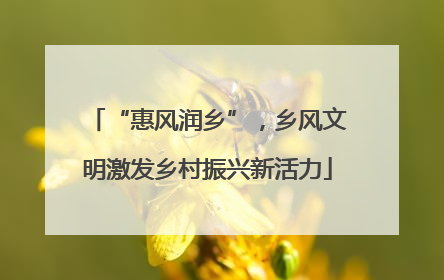 “惠风润乡”，乡风文明激发乡村振兴新活力