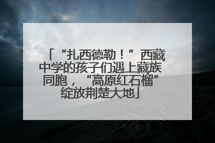 “扎西德勒！”西藏中学的孩子们遇上藏族同胞，“高原红石榴”绽放荆楚大地