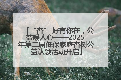 “杏” 好有你在，公益暖人心——2025 年第二届低保家庭杏树公益认领活动开启