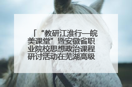 “教研江淮行—皖美课堂”暨安徽省职业院校思想政治课程研讨活动在芜湖高级职业技术学校举行