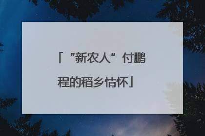 “新农人”付鹏程的稻乡情怀