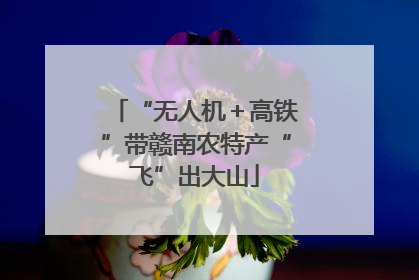 “无人机＋高铁”带赣南农特产“飞”出大山