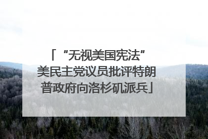 “无视美国宪法” 美民主党议员批评特朗普政府向洛杉矶派兵