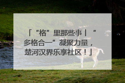 “格”里那些事丨“多格合一”凝聚力量，楚河汉界乐享社区！