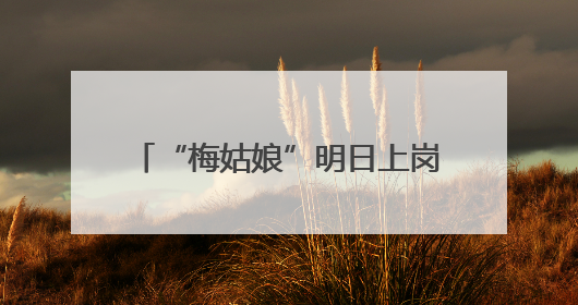 “梅姑娘”明日上岗 今年她可能“出镜”少但“戏份”重