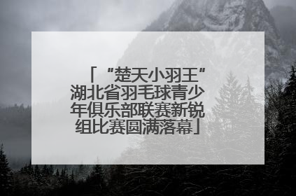 “楚天小羽王”湖北省羽毛球青少年俱乐部联赛新锐组比赛圆满落幕