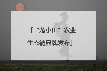 “楚小田”农业生态链品牌发布