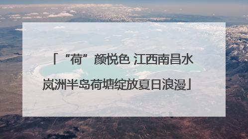 “荷”颜悦色 江西南昌水岚洲半岛荷塘绽放夏日浪漫