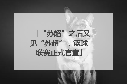 “苏超”之后又见“苏超”，篮球联赛正式官宣